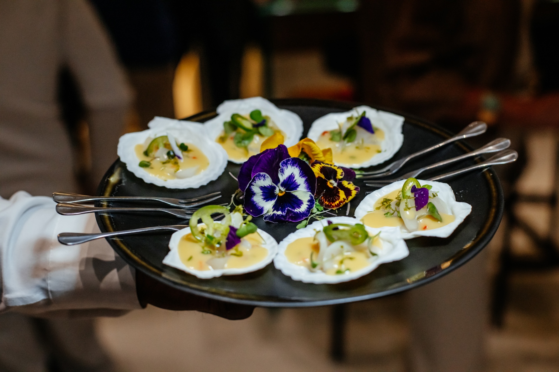 Shell Ceviche