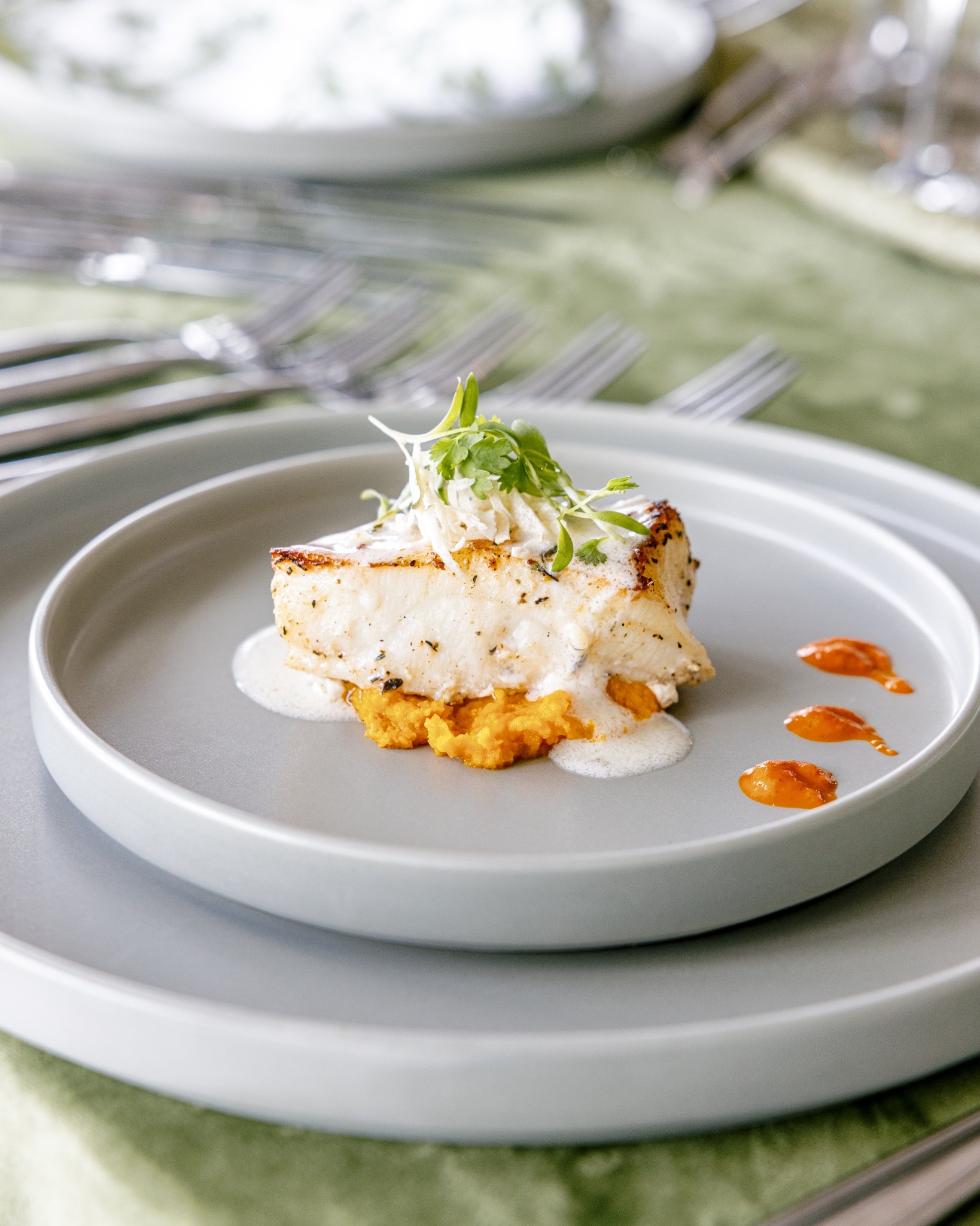 Pan-seared fish with sweet potato purée and herb garnish