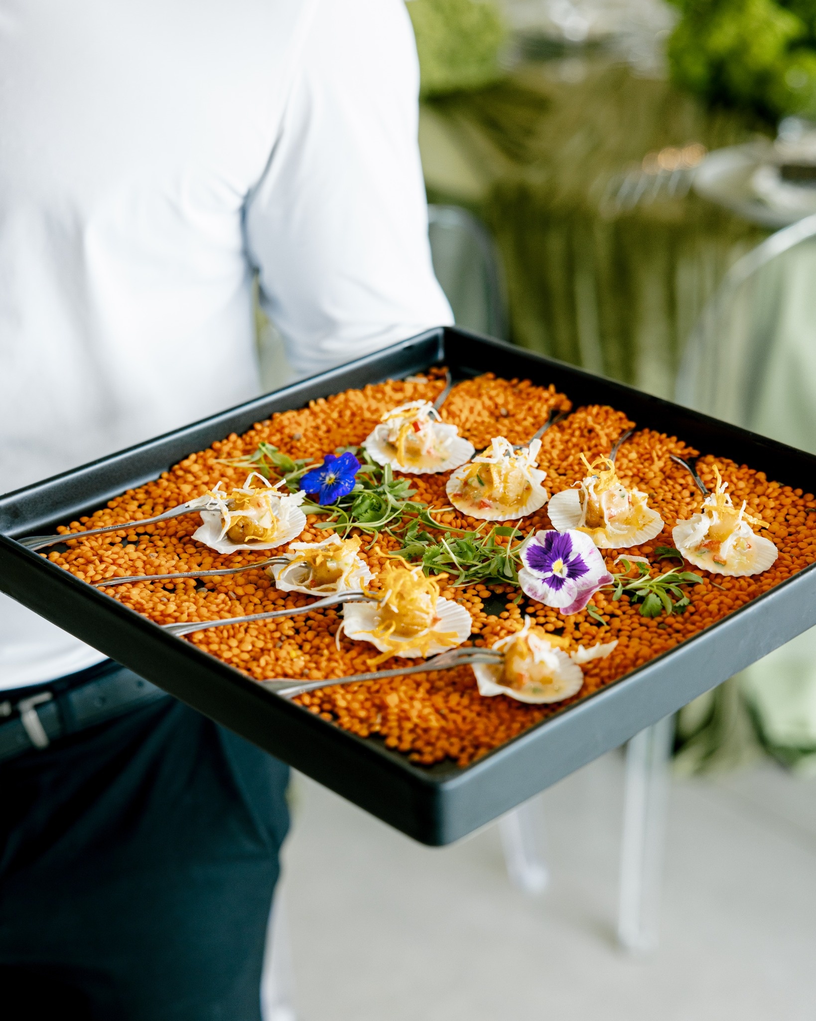 Elegant shell canapés on a bed of lentils with edible flowers